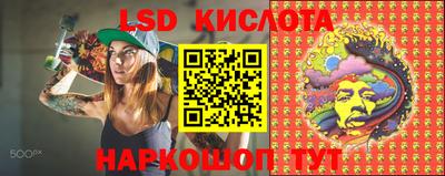 СК Камышлов